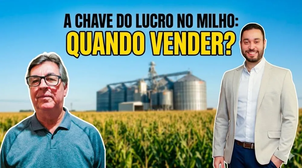 Como pensar em melhor estratégia pra comercialização na safra de milho